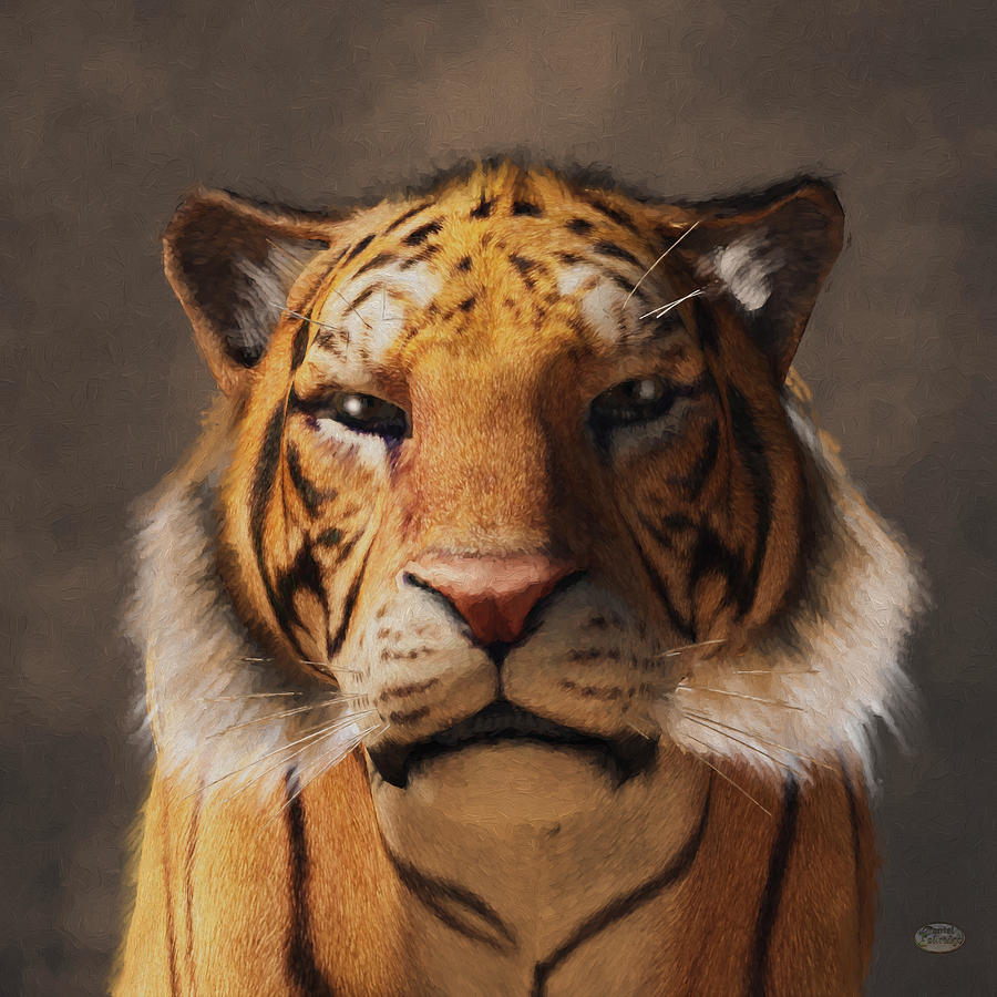 Portrait of a Tiger Digital Art by Daniel Eskridge