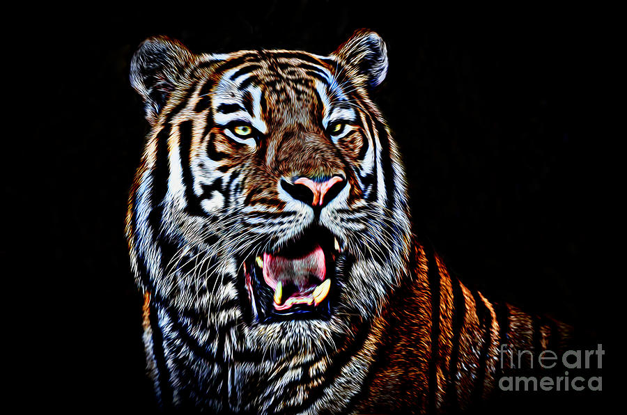 Portrait of a Tiger Glowing Version Photograph by Jim Fitzpatrick