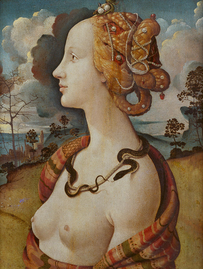Portrait of a woman called Simonetta Vespucci Painting by Piero di Cosimo
