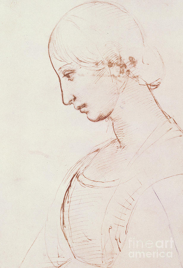 Portrait of a young woman by Raphael Drawing by Raphael