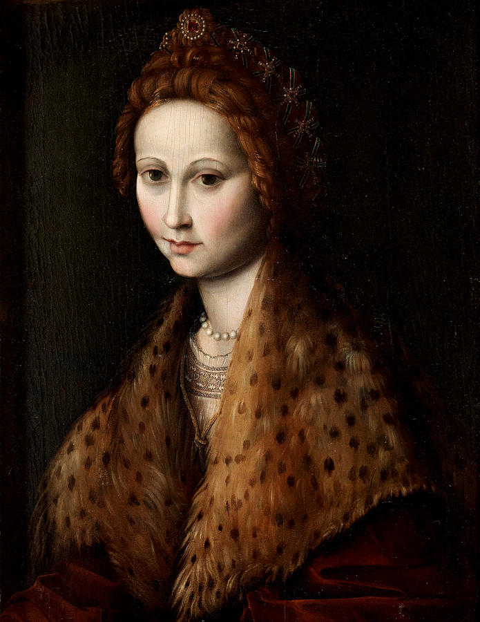 Bacchiacca Painting - Portrait of a Young Woman Wearing a Robe with a Fur Collar by Francesco Bachiacca