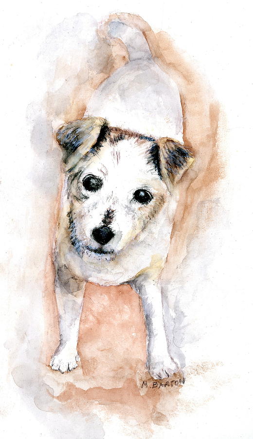Portrait of Abby - Jack Russell Terrier Painting by Marilyn Barton