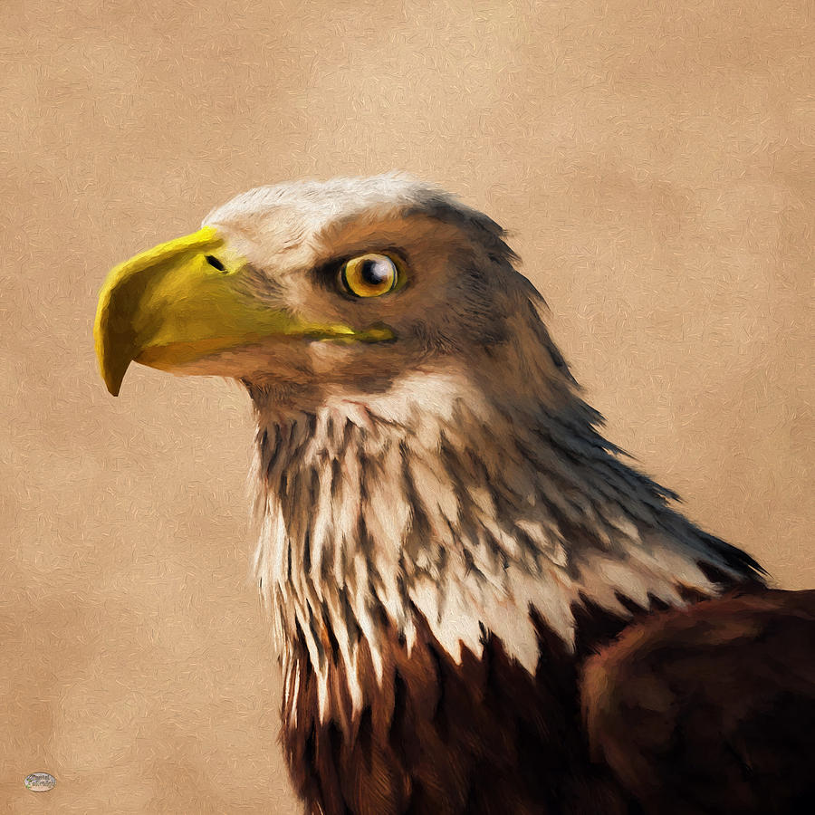 Portrait of an Eagle Digital Art by Daniel Eskridge
