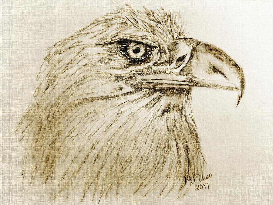 Portrait of an Eagle Drawing by Maria Urso
