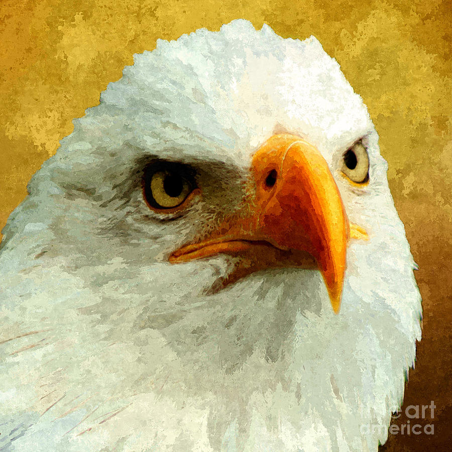 Bird Mixed Media - Portrait Of An Eagle by Stacey Chiew
