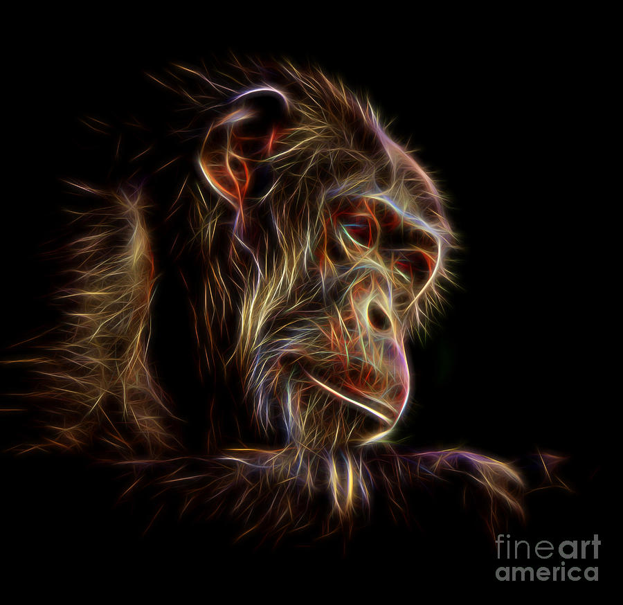 Portrait of an Elderly Chimp II altered version Digital Art by Jim Fitzpatrick