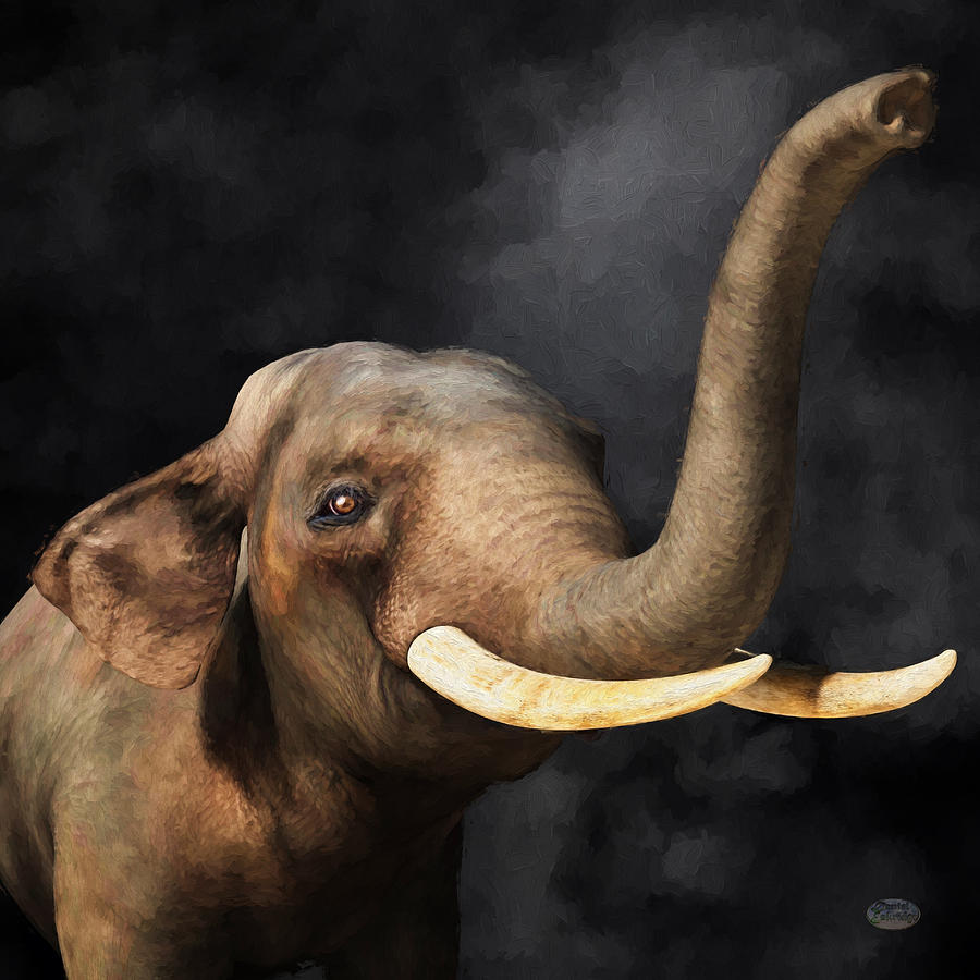 Portrait of an Elephant Digital Art by Daniel Eskridge