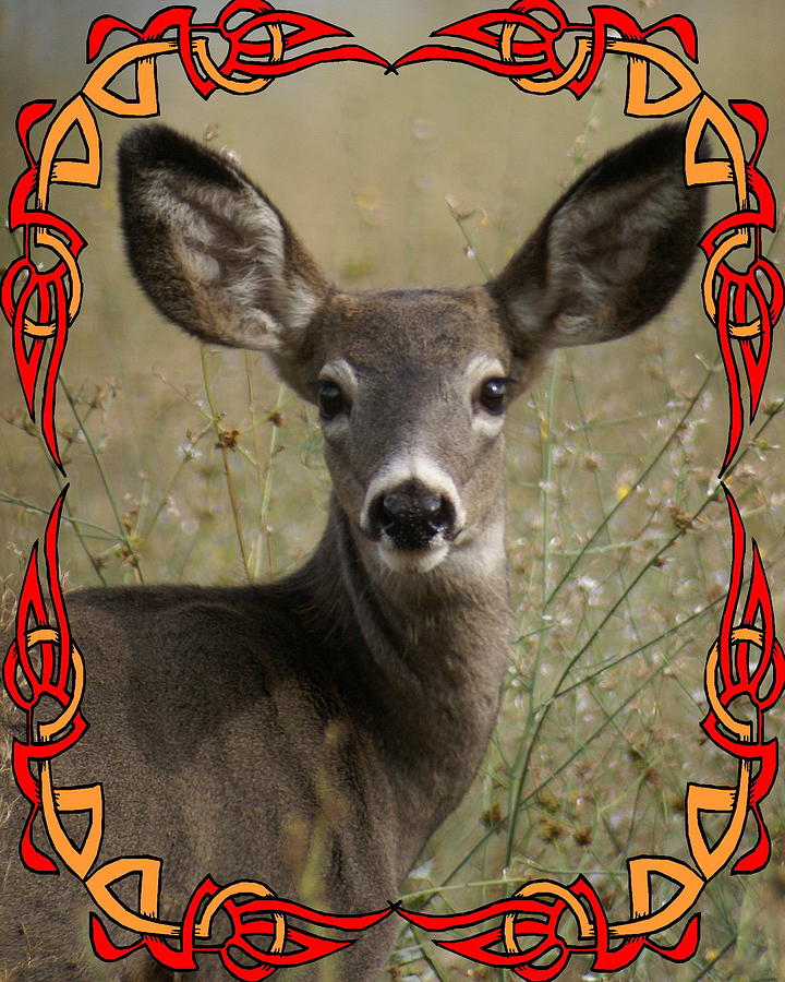 Portrait of Bambi Photograph by Ben Upham III