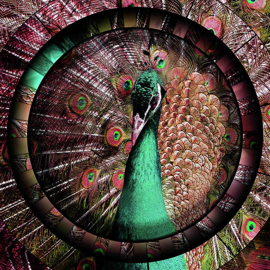 Peacock Mixed Media - Portrait Of Beauty Post Modern Bird Art by Georgiana Romanovna