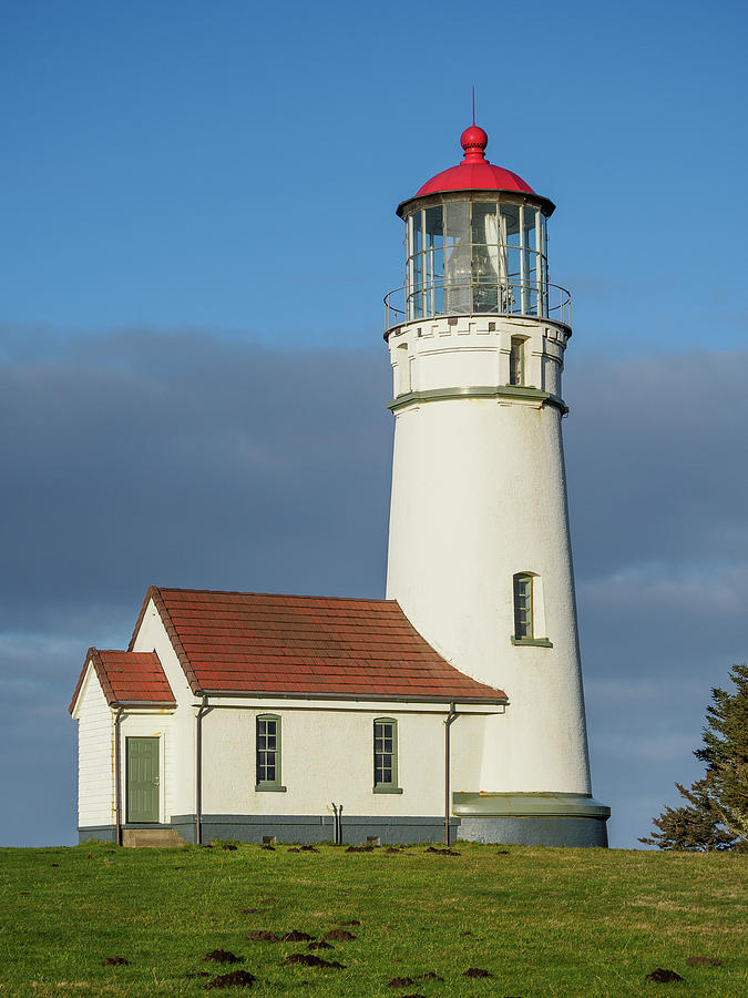 Portrait of Cape Blanco Lighthouse Photograph by Greg Nyquist