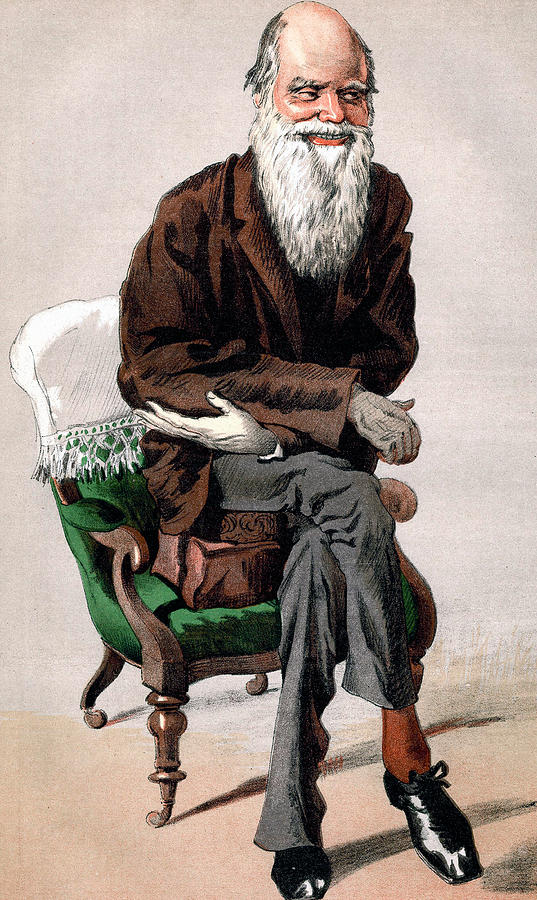 Portrait of Charles Darwin Painting by James Jacques Joseph Tissot 