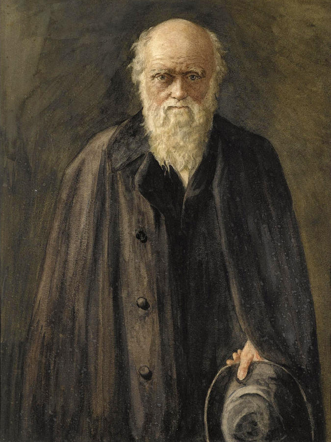Portrait of Charles Darwin Painting by John Collier
