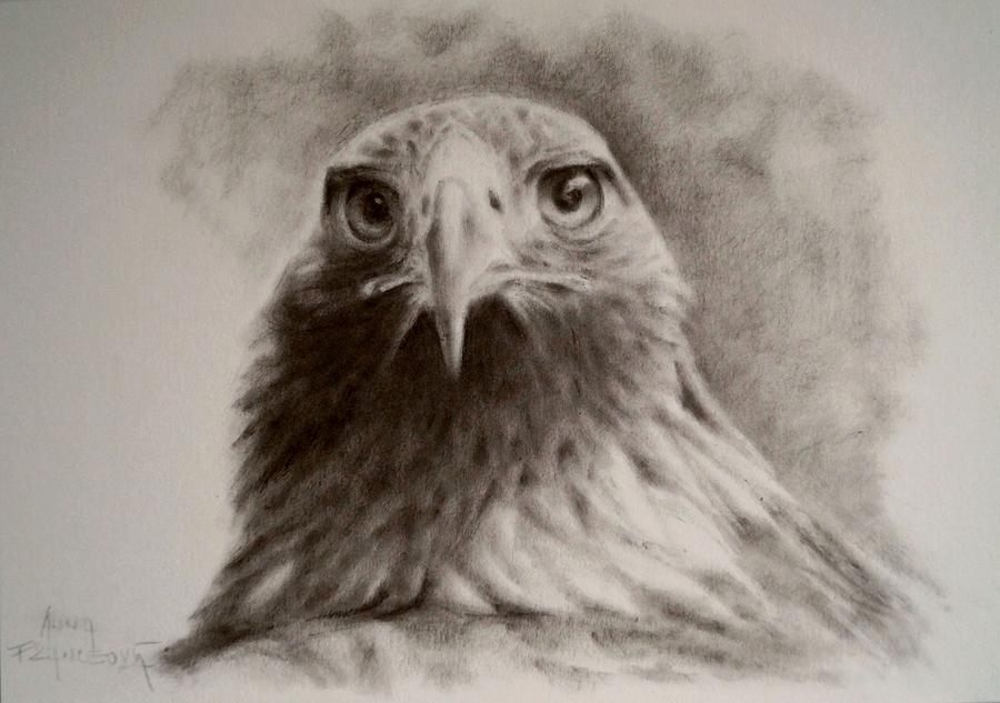 Kazachstan Painting - Portrait of eagle by Anna Franceova Kazachstan Painting - Portrait of eagle by Anna Franceova