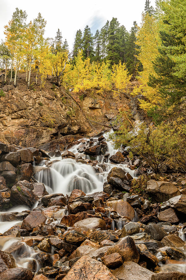 Portrait of Fall Foliage Surrounding a Mountain Creek Photograph by Tony Hake