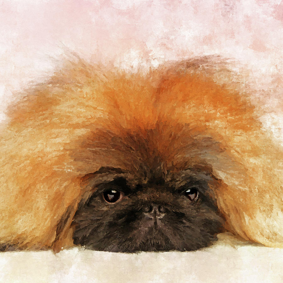 PEKINGESE CHARMING DOG GREETINGS NOTE CARD CUTE DOG STANDING BY GREEN CURTAIN