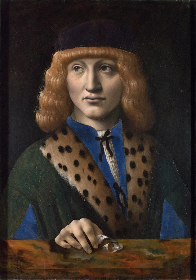 Portrait of Francesco di Bartolomeo Archinto Painting by Marco dOggiono