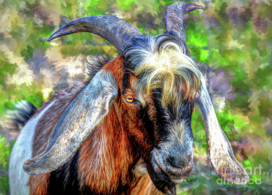Portrait of Goat Digital Art by Savannah Gibbs