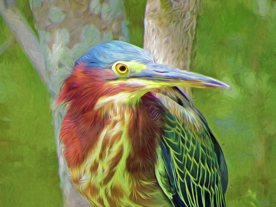 Portrait of Green Heron Painting by A H Kuusela