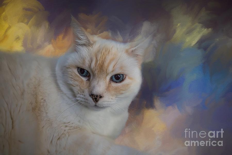 Cat Mixed Media - Portrait of Indigo by Eva Lechner