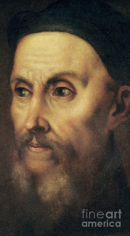 Titian Painting - Portrait of John Calvin by Titian