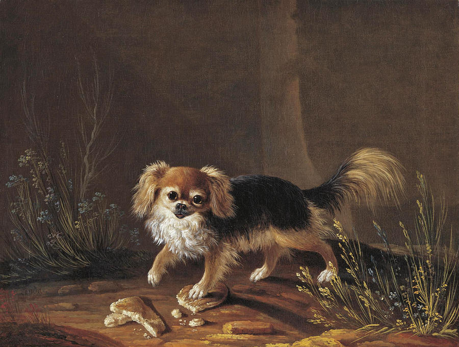 Portrait of Linda, a Pekingese Painting by Jacques-Charles Oudry