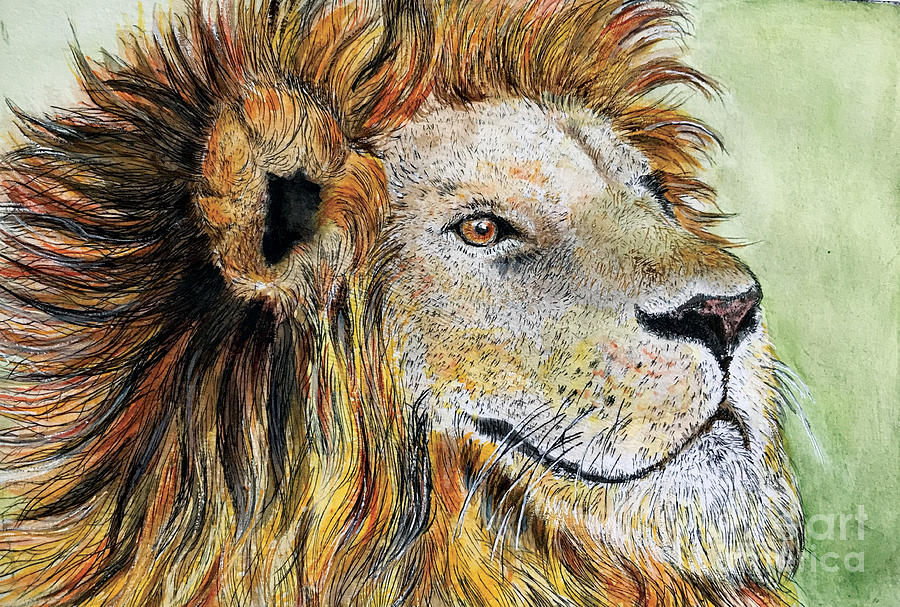 Portrait of Lion Painting by Ella Boughton