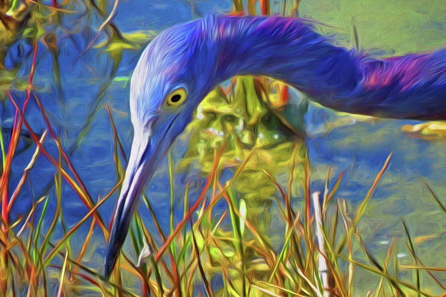 Portrait of Little Blue Heron Painting by A H Kuusela