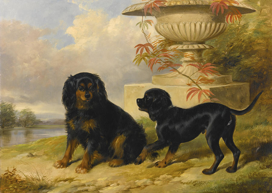 Portrait of Lord Methuens Spaniels, Gipsy and Fairy Painting by William Barraud