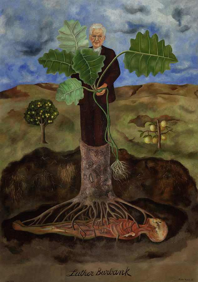 Vintage Painting - Portrait of Luther Burbank by Frida Kahlo