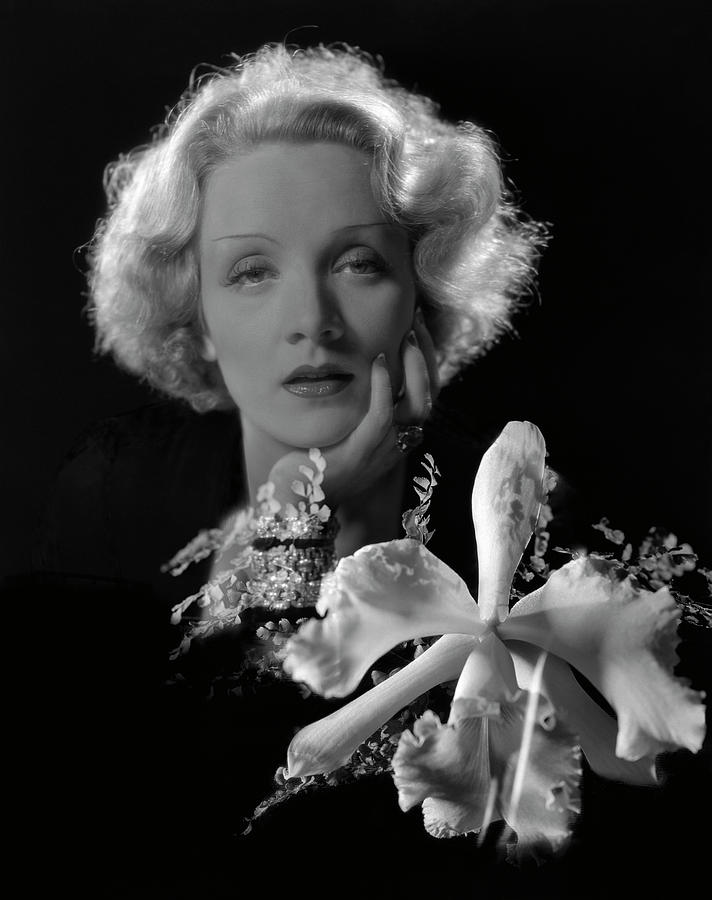 Portrait Of Marlene Dietrich Photograph by Cecil Beaton