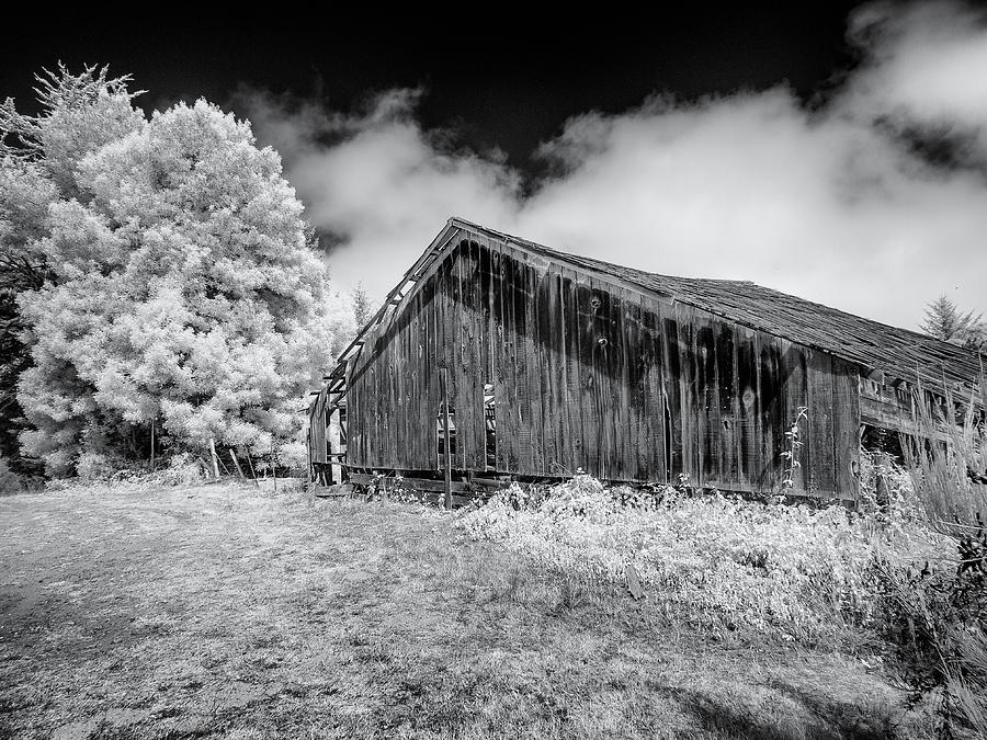 Portrait of Old Decayed Barn Photograph by Greg Nyquist