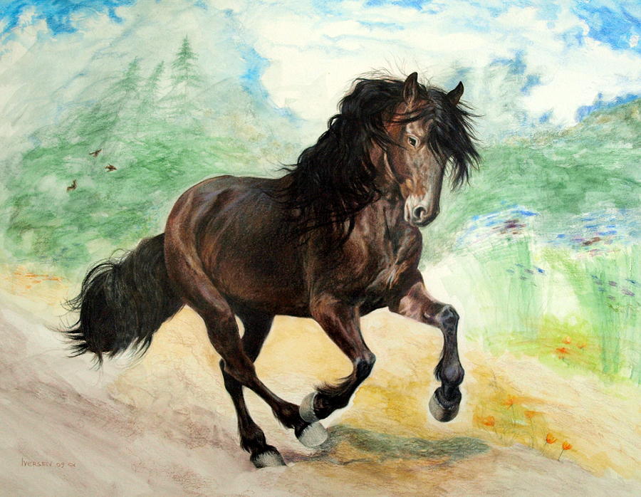 Portrait of Phantom Canadian Horse Drawing by Jillandria Wingfield | Pixels