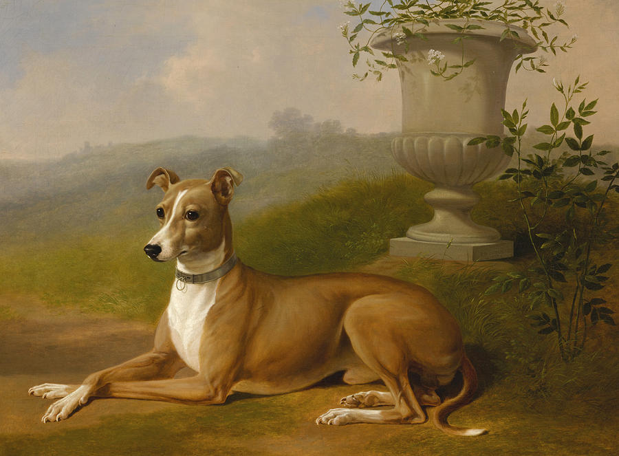 Portrait of Rover Painting by Thomas Hewes Hinckley