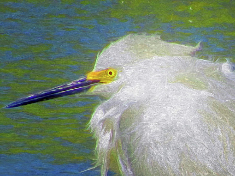 Portrait of a Snowy Egret Painting by A H Kuusela