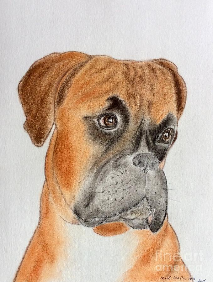 Portrait of the Boxer  Pastel by Natalia Wallwork
