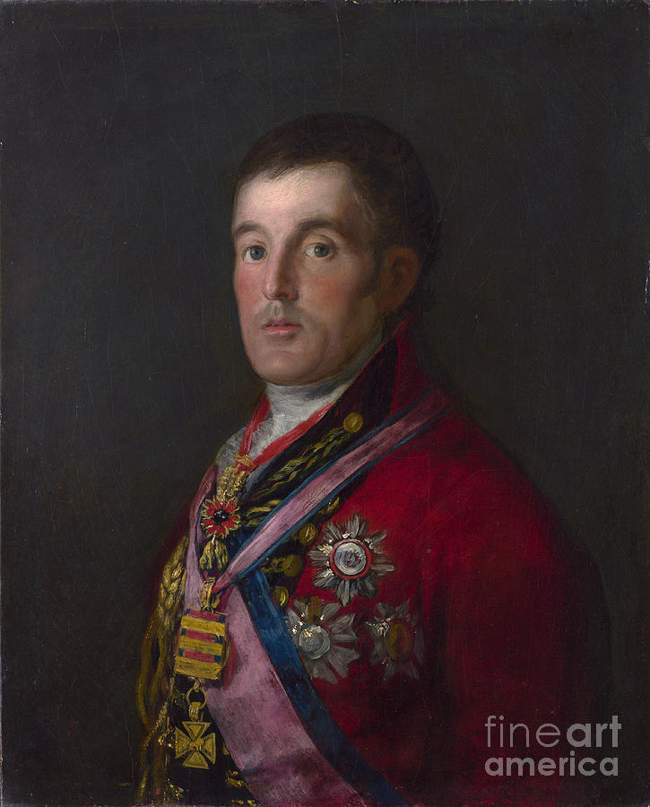Portrait of the Duke of Wellington Painting by Celestial Images