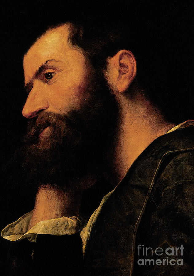 Portrait of the poet Pietro Aretino Painting by Alessandro Bonvicino Moretto