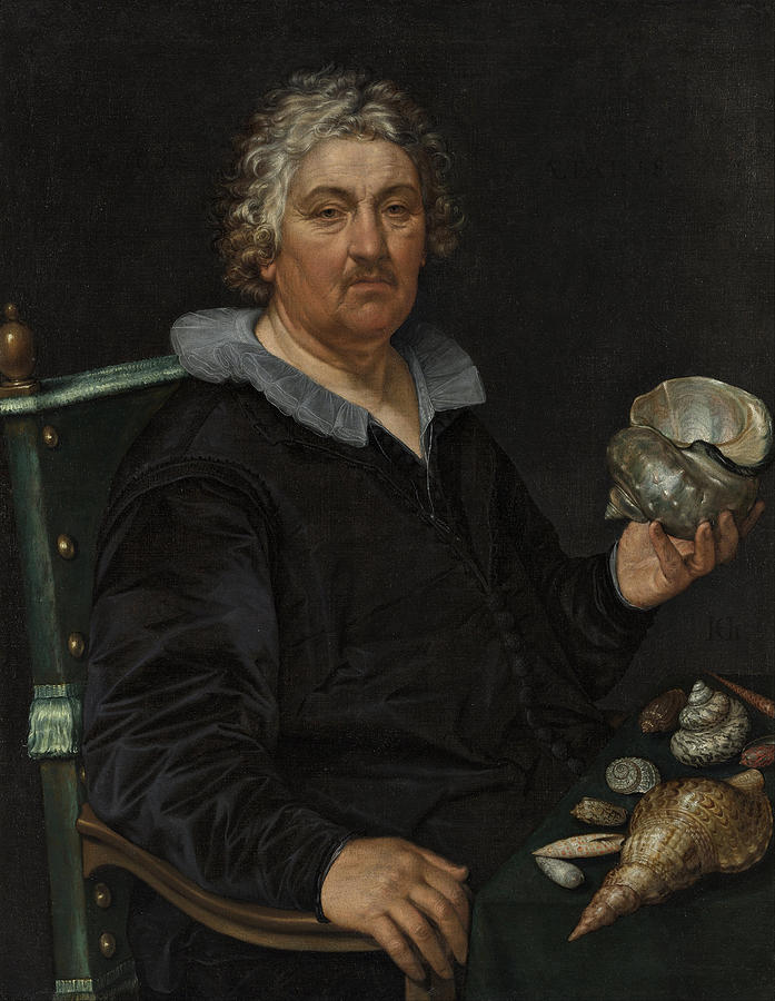 Hendrik Goltzius Painting - Portrait of the Shell Collector Jan Govertsen van der Aer by Hendrik Goltzius