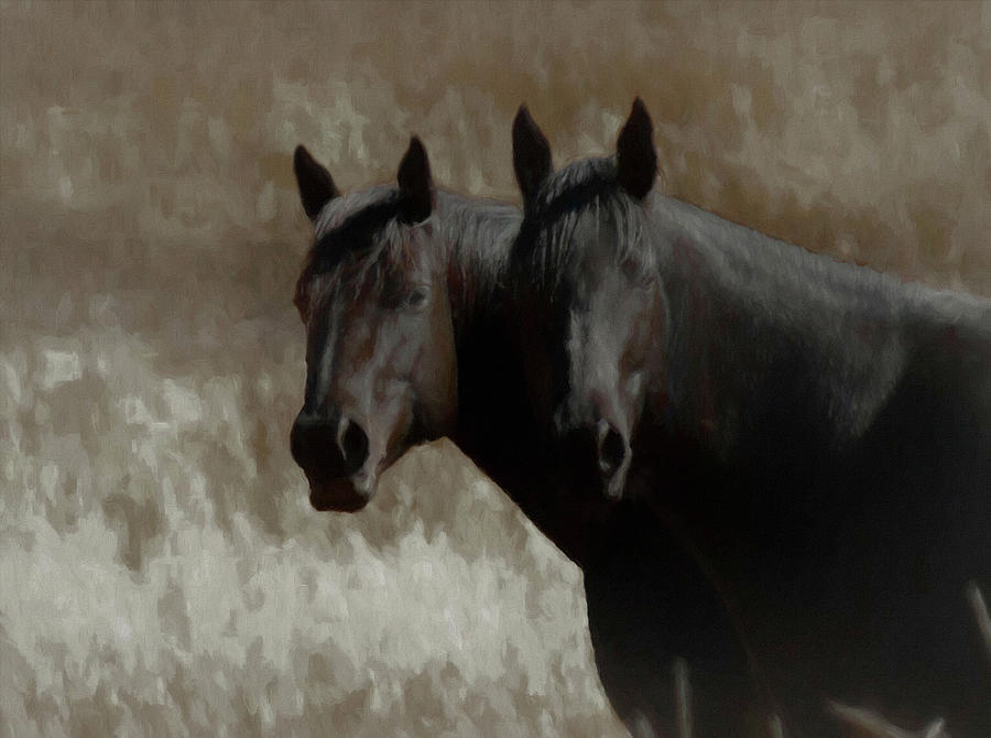Portrait of two Horses Digital Art by Ernest Echols