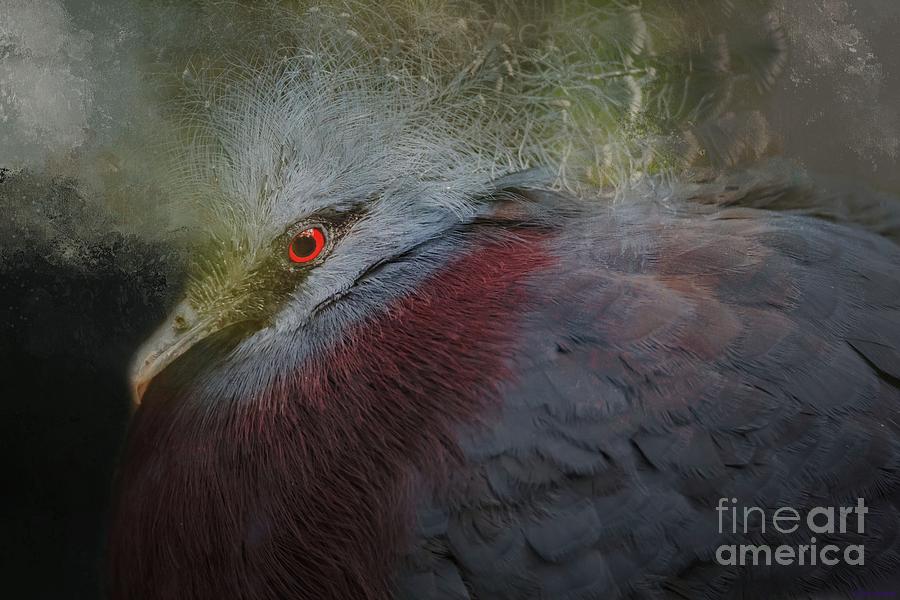 Pigeon Photograph - Portrait of Victoria Crowned Pigeon by Eva Lechner
