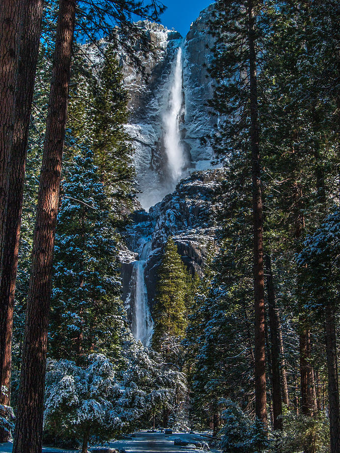 Portrait of Yosemite Falls Photograph by Bill Gallagher