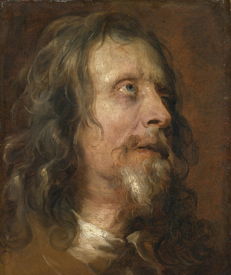 Portrait Study of a Bearded Man Painting by Anthony van Dyck