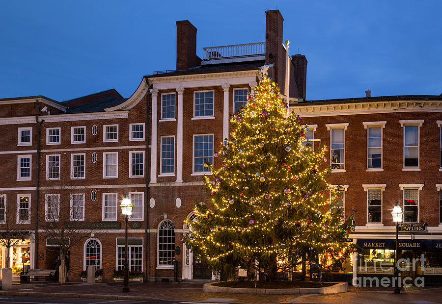 Portsmouth Christmas Tree on Market Square Photograph by Dawna Moore Photography