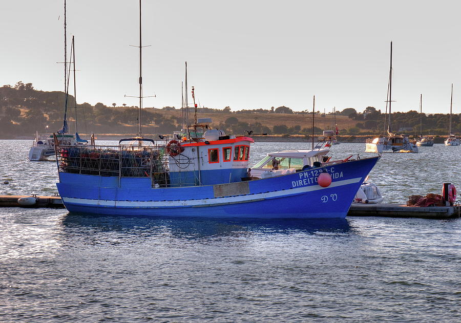 Portuguese Fishing Boat Photograph by Jeff Townsend