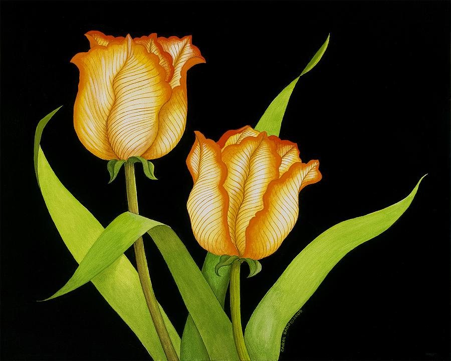 Posing Tulips Painting by Carol Sabo