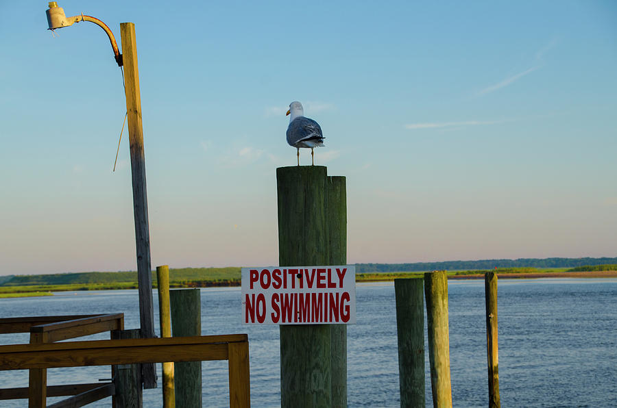 Positively No Swimming - Jersey Shore Photograph by Bill Cannon