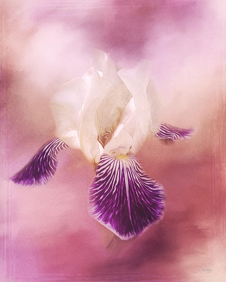 Possibilities - Iris Art Painting by Jordan Blackstone