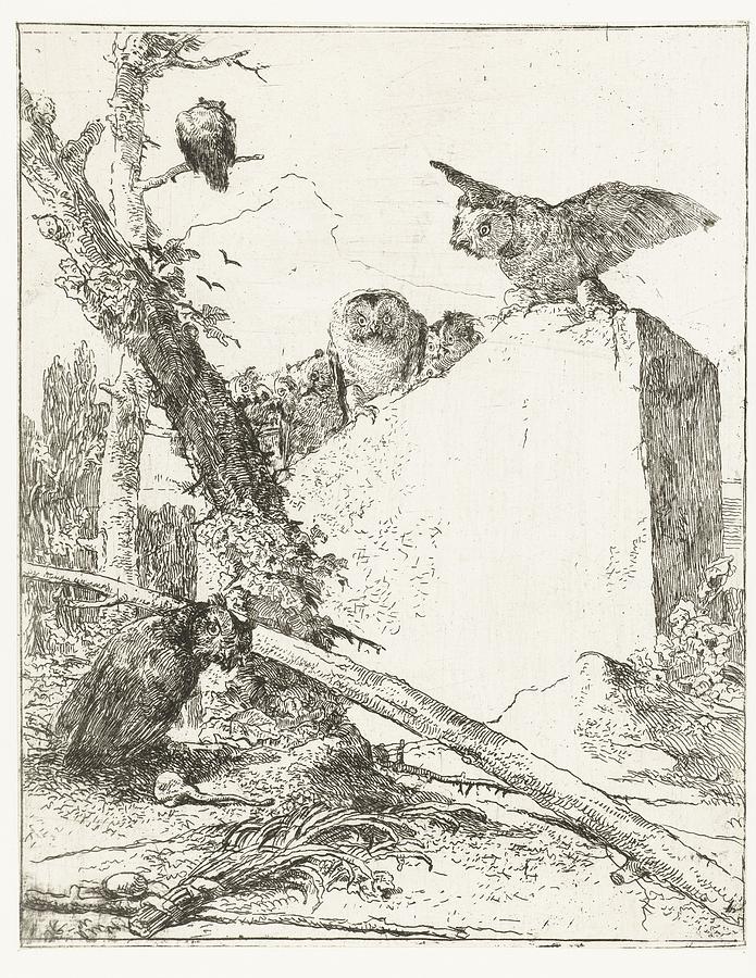 Post title for Scherzi di fantasia with owls on a stone, Giovanni Battista Tiepolo, at or before c.  Painting by Celestial Images