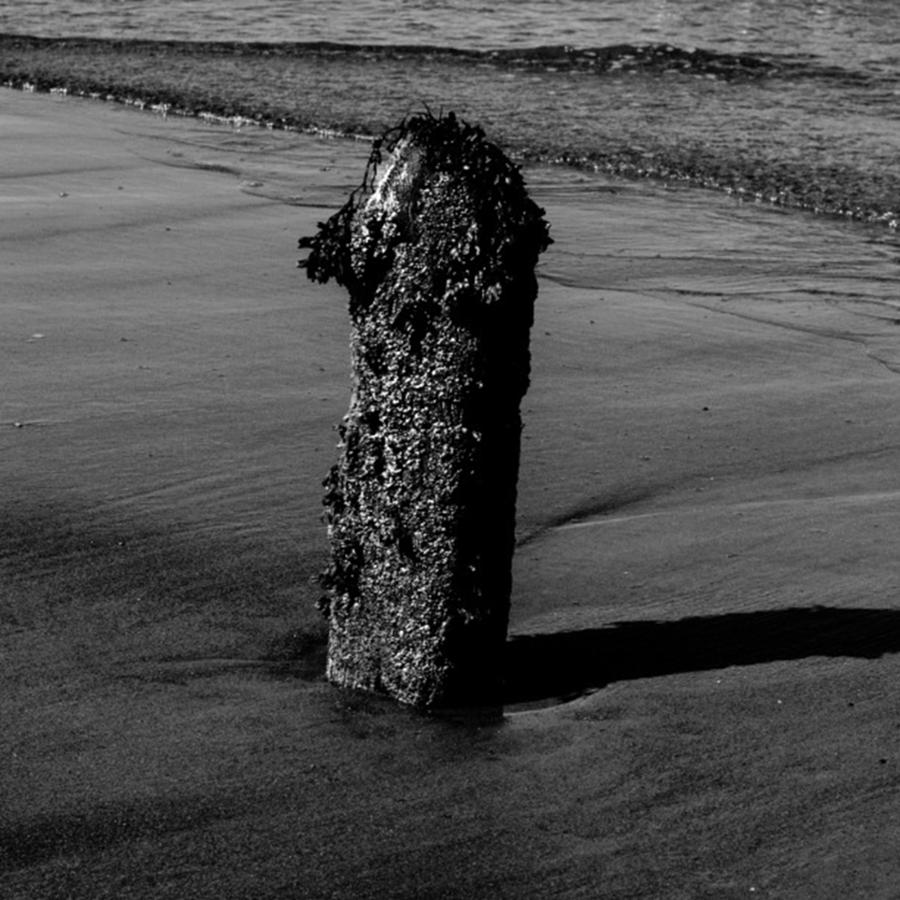 Beach Photograph - #post #wooden #seaweed #seaside #coast by Mid Middleton