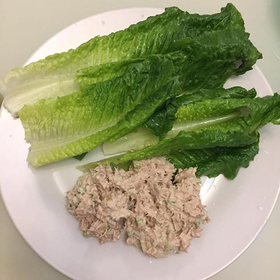 Shred Photograph - Post Workout Meal Tuna And Romaine by Jose Rojas